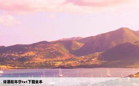 诗酒趁年华txt下载全本