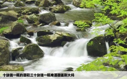 十块钱一瓶的醋和三十块钱一瓶啤酒醋差别大吗