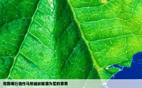 世路难行钱作马愁城欲破酒为军的意思