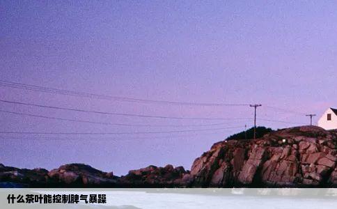 什么茶叶能控制脾气暴躁