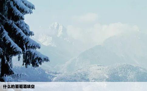 什么的葡萄酒填空