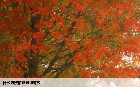 什么方法解酒迅速有效