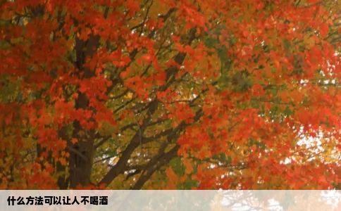 什么方法可以让人不喝酒