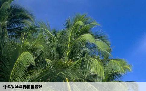 什么果酒营养价值最好