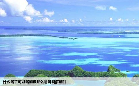 什么喝了可以喝酒没那么易醉啊解酒的