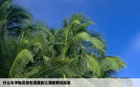 什么化学物品放在酒里能让酒精瞬间挥发