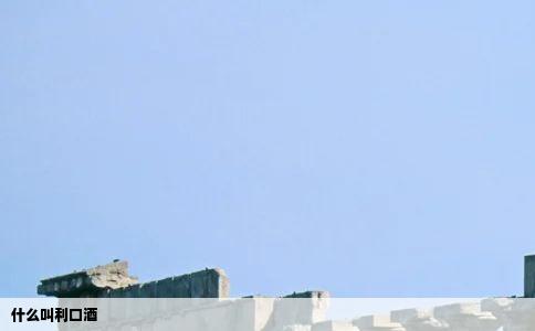 什么叫利口酒