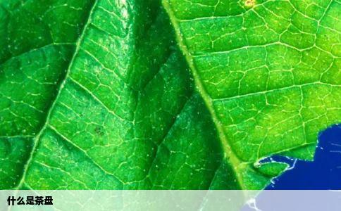 什么是茶盘