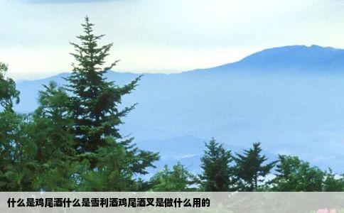 什么是鸡尾酒什么是雪利酒鸡尾酒叉是做什么用的