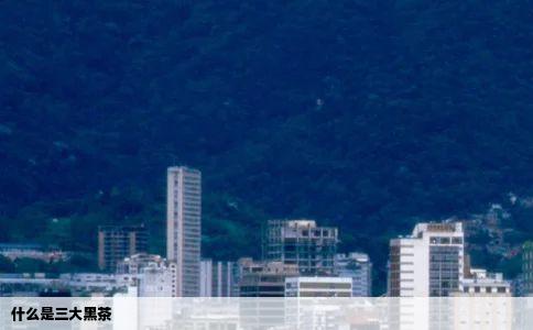 什么是三大黑茶
