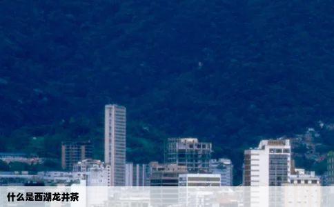什么是西湖龙井茶