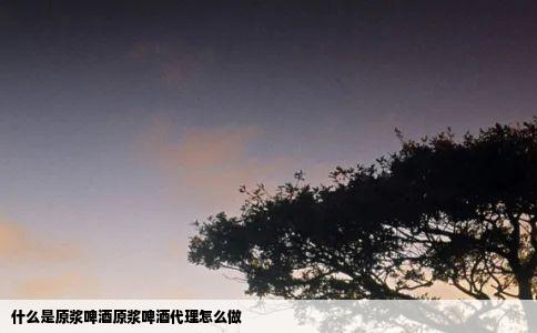 什么是原浆啤酒原浆啤酒代理怎么做