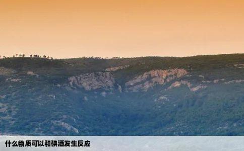 什么物质可以和碘酒发生反应