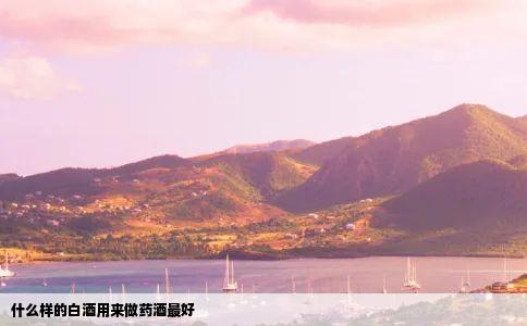 什么样的白酒用来做药酒最好