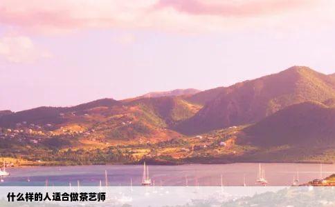 什么样的人适合做茶艺师