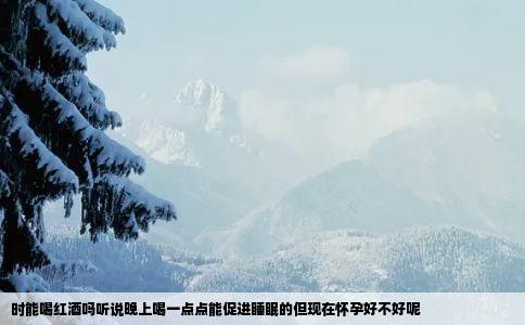 时能喝红酒吗听说晚上喝一点点能促进睡眠的但现在怀孕好不好呢