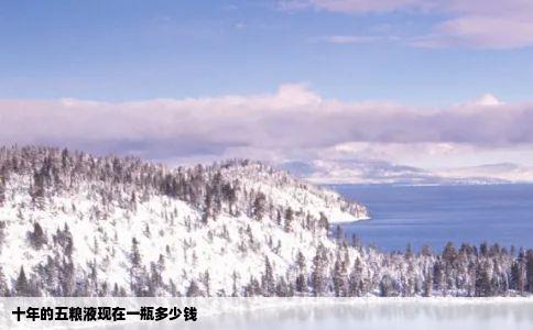 十年的五粮液现在一瓶多少钱