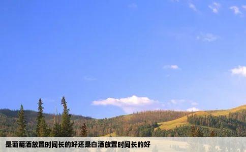 是葡萄酒放置时间长的好还是白酒放置时间长的好