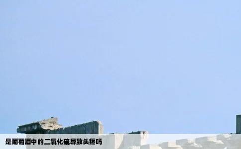 是葡萄酒中的二氧化硫导致头疼吗