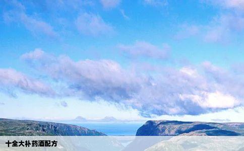 十全大补药酒配方