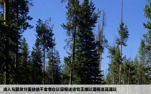 诗人与朋友分离依依不舍李白以目相送诗句王维以酒相送高适以