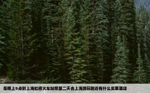 是晚上9点到上海虹桥火车站想第二天去上海游玩附近有什么实惠酒店