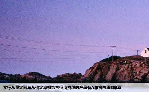 实行从量定额与从价定率相结合征消费税的产品有A粮食白酒B啤酒