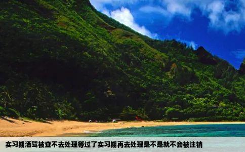 实习期酒驾被查不去处理等过了实习期再去处理是不是就不会被注销