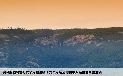 实习期酒驾暂扣六个月被注销了六个月后还需要本人亲自去交警注销