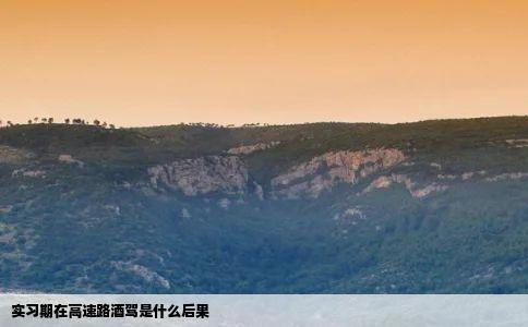 实习期在高速路酒驾是什么后果