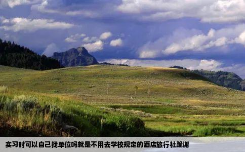 实习时可以自己找单位吗就是不用去学校规定的酒店旅行社跪谢