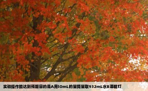 实验操作能达到预期目的是A用lOmL的量筒量取932mL水B酒精灯