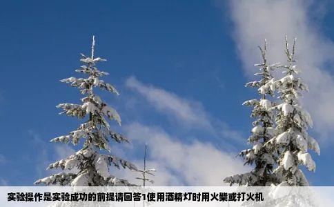 实验操作是实验成功的前提请回答1使用酒精灯时用火柴或打火机