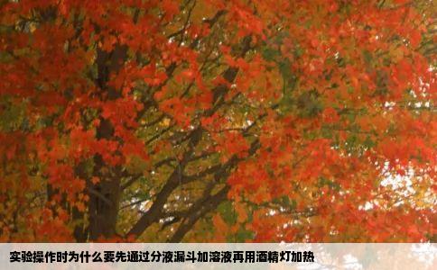 实验操作时为什么要先通过分液漏斗加溶液再用酒精灯加热