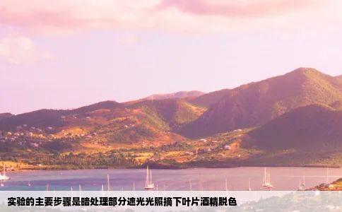 实验的主要步骤是暗处理部分遮光光照摘下叶片酒精脱色