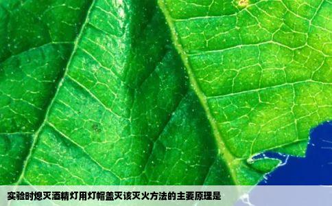 实验时熄灭酒精灯用灯帽盖灭该灭火方法的主要原理是