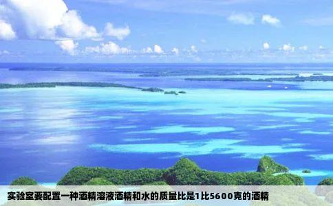 实验室要配置一种酒精溶液酒精和水的质量比是1比5600克的酒精