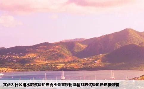 实验为什么用水对试管加热而不是直接用酒精灯对试管加热这样做有