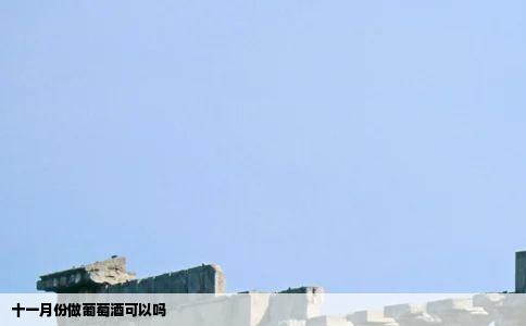 十一月份做葡萄酒可以吗