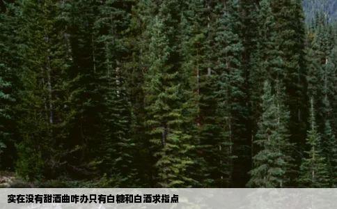 实在没有甜酒曲咋办只有白糖和白酒求指点