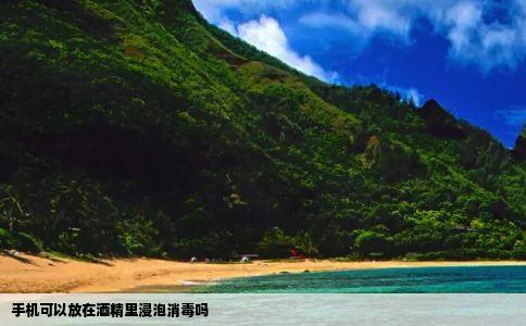 手机可以放在酒精里浸泡消毒吗