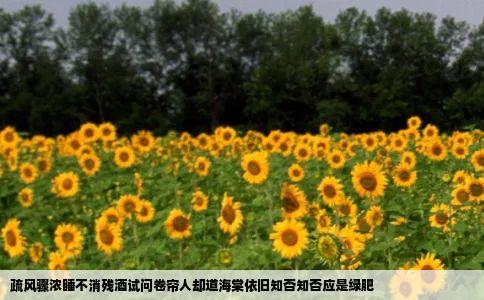 疏风骤浓睡不消残酒试问卷帘人却道海棠依旧知否知否应是绿肥