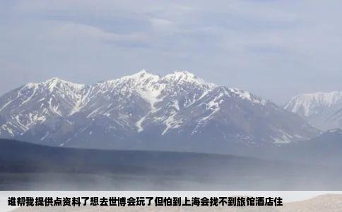 谁帮我提供点资料了想去世博会玩了但怕到上海会找不到旅馆酒店住