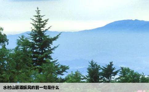 水村山郭酒旗风的前一句是什么