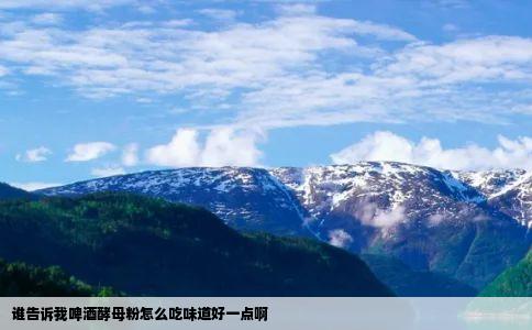 谁告诉我啤酒酵母粉怎么吃味道好一点啊