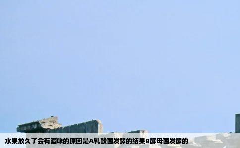 水果放久了会有酒味的原因是A乳酸菌发酵的结果B酵母菌发酵的
