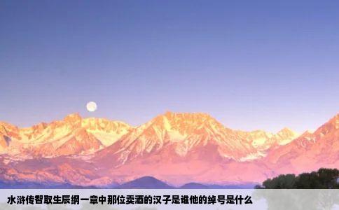 水浒传智取生辰纲一章中那位卖酒的汉子是谁他的绰号是什么