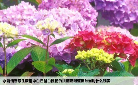 水浒传智取生辰纲中白日鼠白胜扮的挑酒汉唱道反映当时什么现实