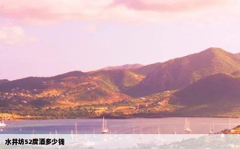 水井坊52度酒多少钱