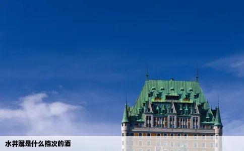 水井赋是什么档次的酒